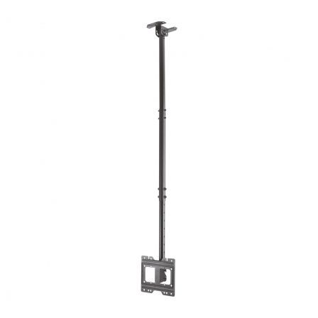 Aisens Soporte de Techo Giratorio e Inclinable para TV 23-43 Pulgadas Negro